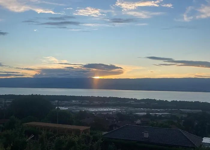 Escale Face Au Leman Marin